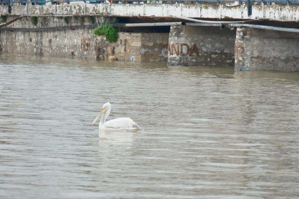 Kuraklıkla boğuşan Türkiye’nin yaşayan gölü, yeniden küçük Venedik oldu 11